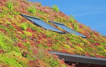 Crickheath Wharf living roof systems