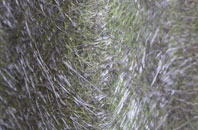 Crickheath Wharf fibreglass roof work